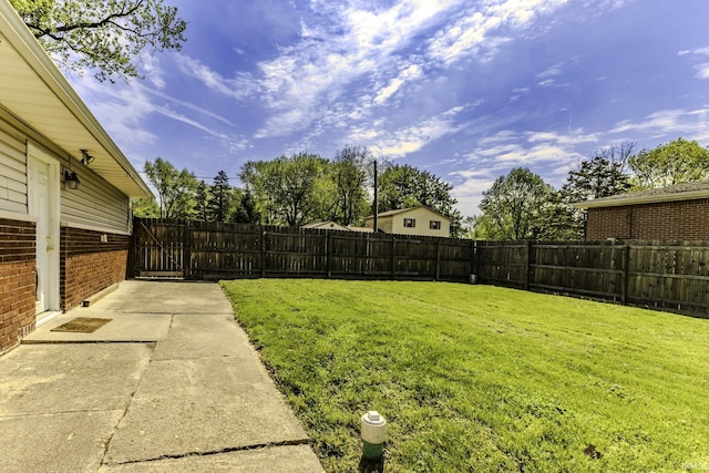 view of yard featuring a patio area