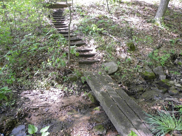 5161 Orange Grove Rd, Gosport, IN 47433 - view of undeveloped land