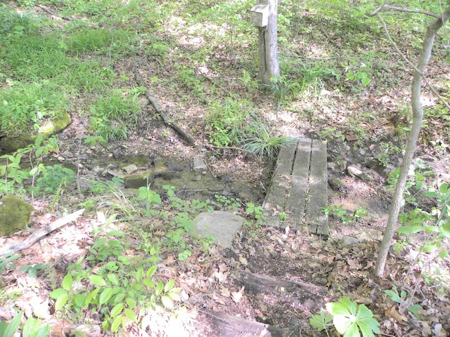 5161 Orange Grove Rd, Gosport, IN 47433 - view of undeveloped land