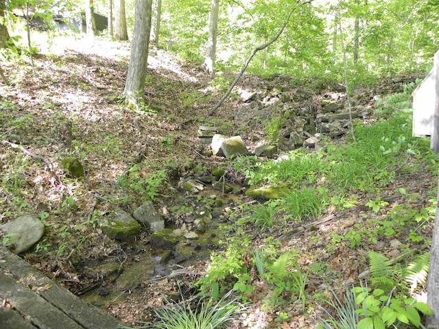5161 Orange Grove Rd, Gosport, IN 47433 - view of local wilderness