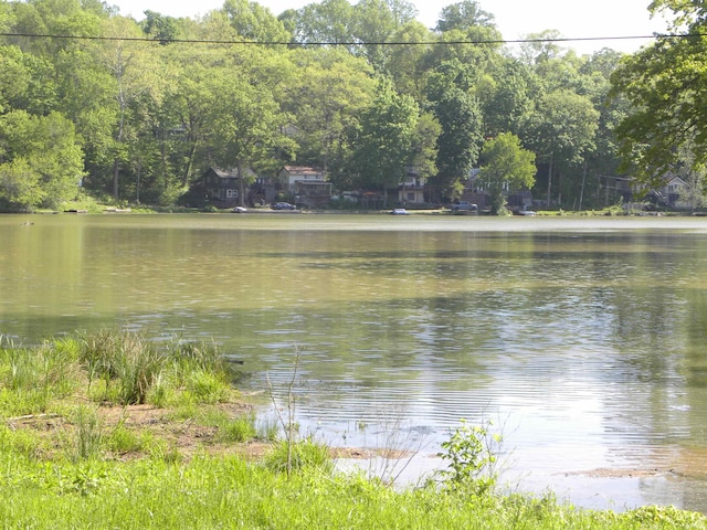5161 Orange Grove Rd, Gosport, IN 47433 - water view