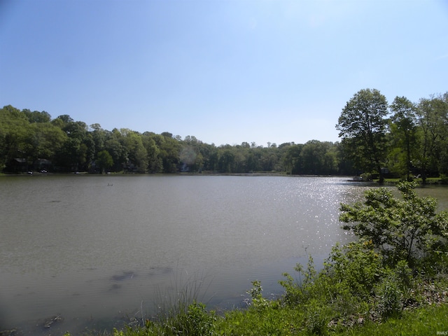 5161 Orange Grove Rd, Gosport, IN 47433 - water view with a heavily wooded area