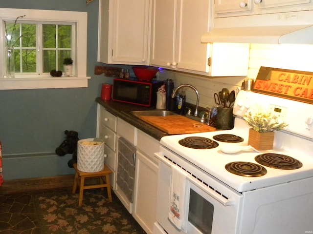 5161 Orange Grove Rd, Gosport, IN 47433 - kitchen featuring white electric stove, under cabinet range hood, a sink, and white cabinetry
