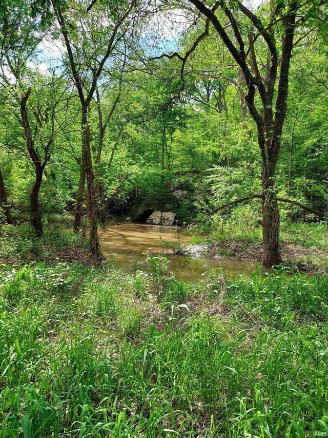 419ACRES Reinhart Rd, Loogootee, IN 47553