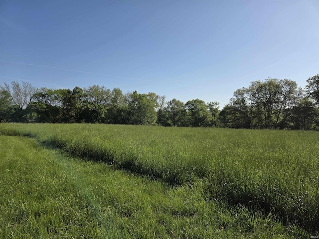 419ACRES Reinhart Rd, Loogootee, IN 47553