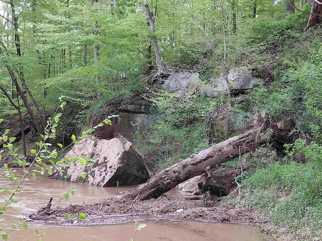 419ACRES Reinhart Rd, Loogootee, IN 47553