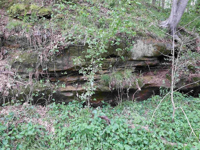419ACRES Reinhart Rd, Loogootee, IN 47553