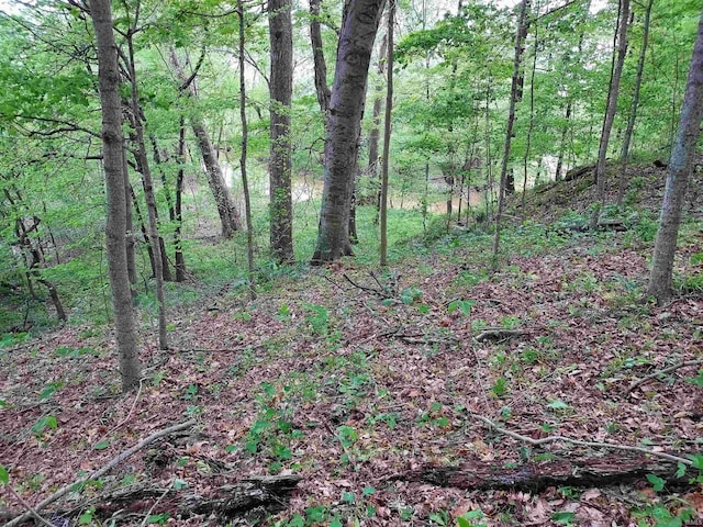 419ACRES Reinhart Rd, Loogootee, IN 47553
