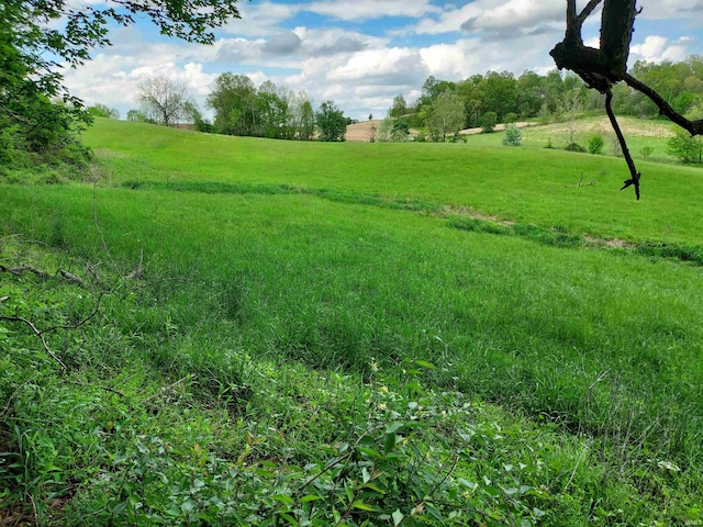 419ACRES Reinhart Rd, Loogootee, IN 47553