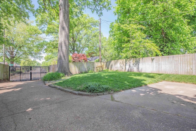 927 S Lombard Ave, Evansville, IN 47714 - view of yard featuring a gate and a patio area