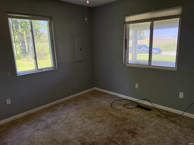 spare room with electric panel, carpet flooring, and baseboards
