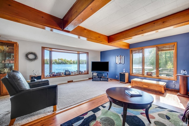 living area featuring plenty of natural light, wood finished floors, and beam ceiling