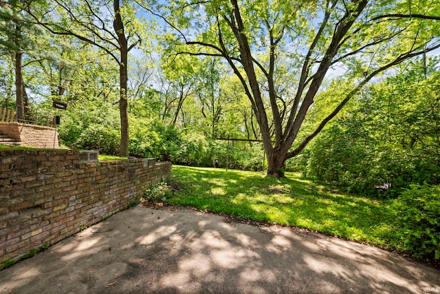 view of grassy yard with a patio area