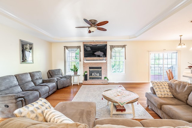 living room with a tray ceiling, healthy amount of natural light, wood finished floors, ornamental molding, and ceiling fan
