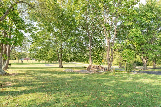 view of green lawn