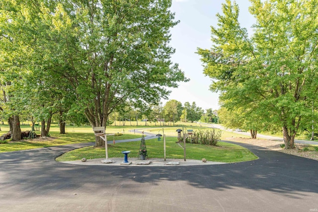 view of property's community with a yard