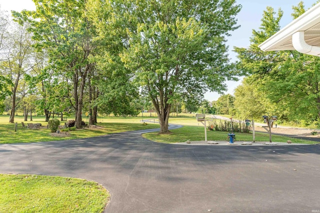 view of asphalt road with view of scattered trees