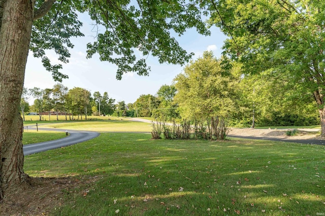 surrounding community featuring a lawn