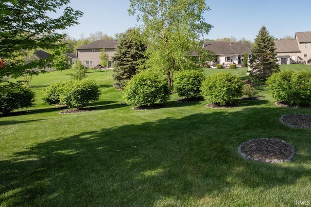 view of grassy yard featuring a residential view