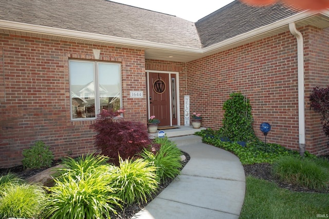 view of exterior entry with brick siding and a shingled roof