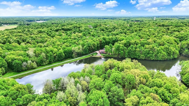 5571 Poff Rd, Martinsville, IN 46151 - aerial view of a heavily wooded area and a nearby body of water