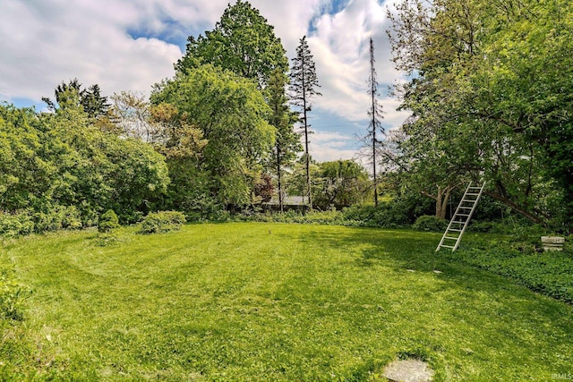 view of grassy yard