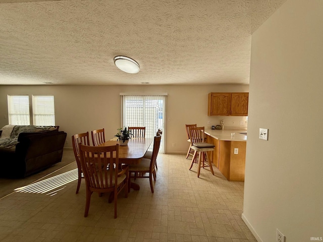 dining room featuring healthy amount of natural light, baseboards, and a textured ceiling