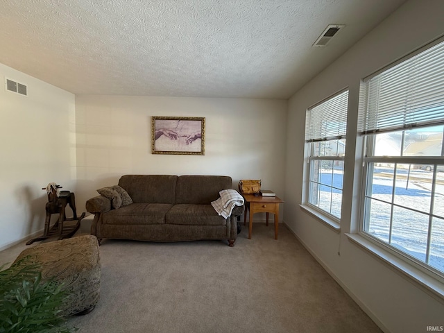 living room with light colored carpet and a textured ceiling