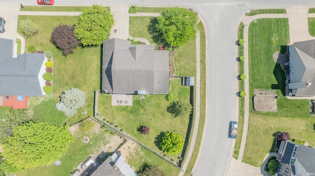 bird's eye view