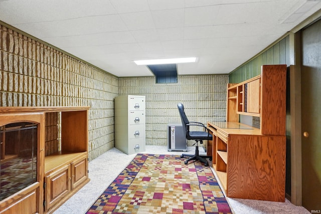 office featuring carpet