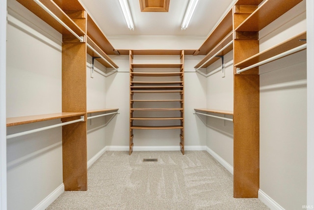 5006 Vandolah Rd, Leo, IN 46765 - walk in closet featuring carpet floors