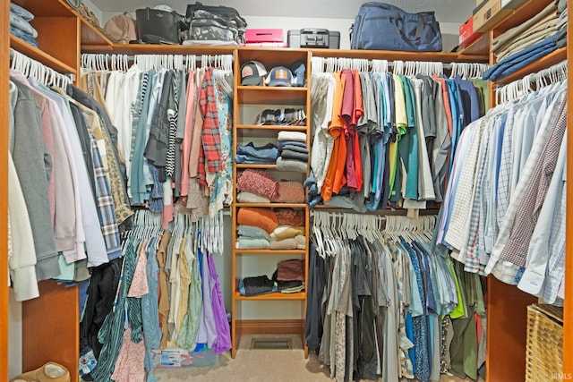 view of walk in closet