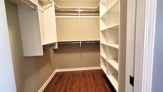 spacious closet featuring dark wood-style flooring