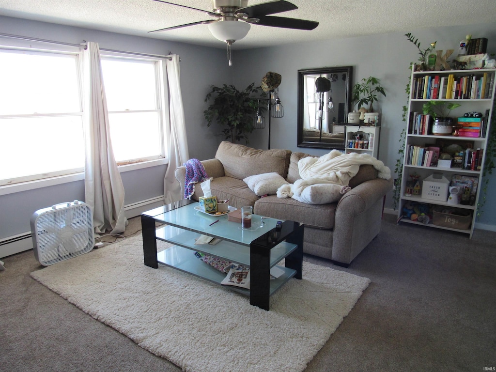107 Basket Factory Rd, St, Butler, IN 46721 - living area featuring a ceiling fan, carpet floors, a textured ceiling, and baseboard heating