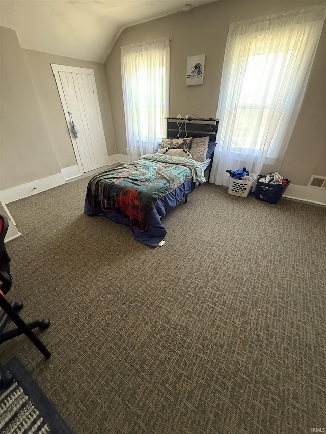 255 W Main St, Peru, IN 46970 - bedroom featuring carpet, vaulted ceiling, and baseboards