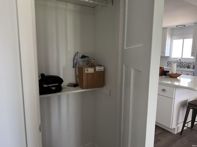 closet featuring a sink