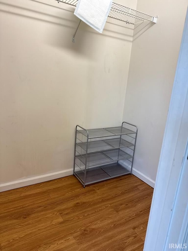walk in closet featuring wood finished floors