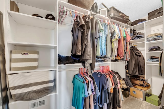 spacious closet featuring carpet flooring