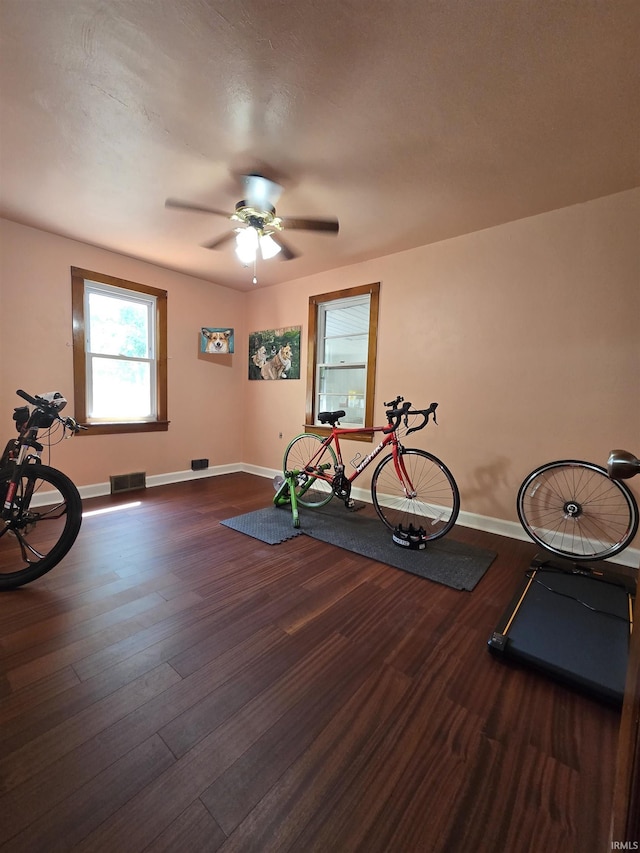 304 N Main St, South Whitley, IN 46787 - exercise room featuring baseboards, a ceiling fan, and wood finished floors