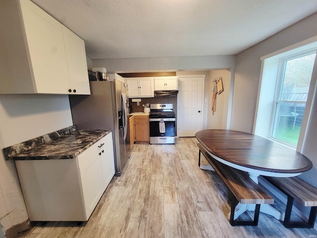 109 N Martin St, Ligonier, IN 46767 - kitchen featuring appliances with stainless steel finishes, light wood finished floors, under cabinet range hood, white cabinets, and a textured ceiling