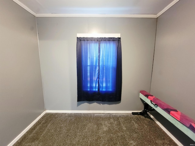 109 N Martin St, Ligonier, IN 46767 - empty room with baseboards, carpet floors, and crown molding