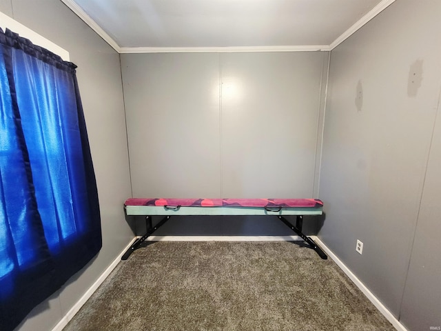 109 N Martin St, Ligonier, IN 46767 - miscellaneous room featuring carpet floors, crown molding, and baseboards
