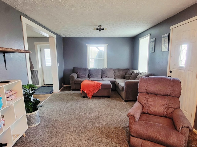 109 N Martin St, Ligonier, IN 46767 - living room featuring a textured ceiling and healthy amount of natural light