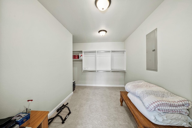 51025 Bellcrest Cir, Granger, IN 46530 - spacious closet with carpet flooring and electric panel