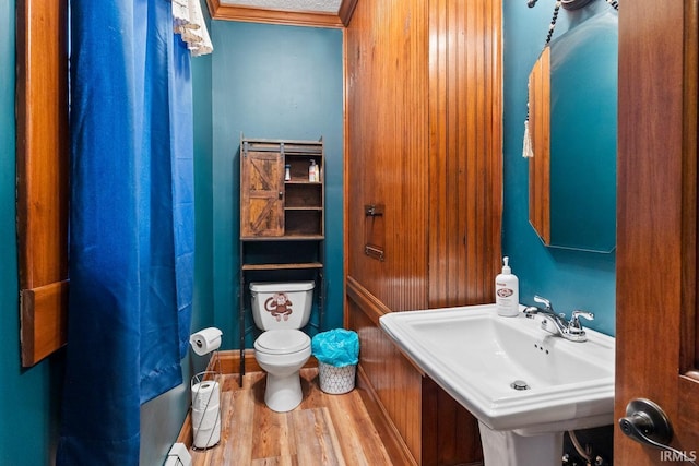 bathroom featuring wood finished floors, a sink, and toilet