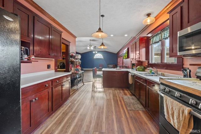 kitchen featuring appliances with stainless steel finishes, wood finished floors, a sink, vaulted ceiling, and plenty of natural light