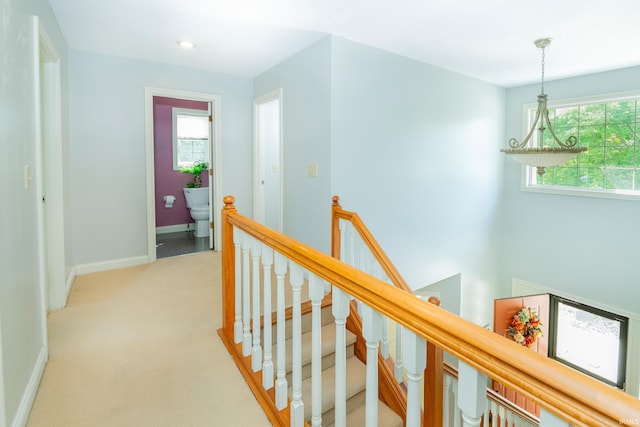 1017 S Carleton Ct, Bloomington, IN 47401 - corridor featuring an upstairs landing, baseboards, light colored carpet, and plenty of natural light