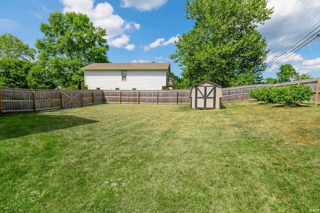 1017 S Carleton Ct, Bloomington, IN 47401 - view of yard featuring a shed and an outdoor structure