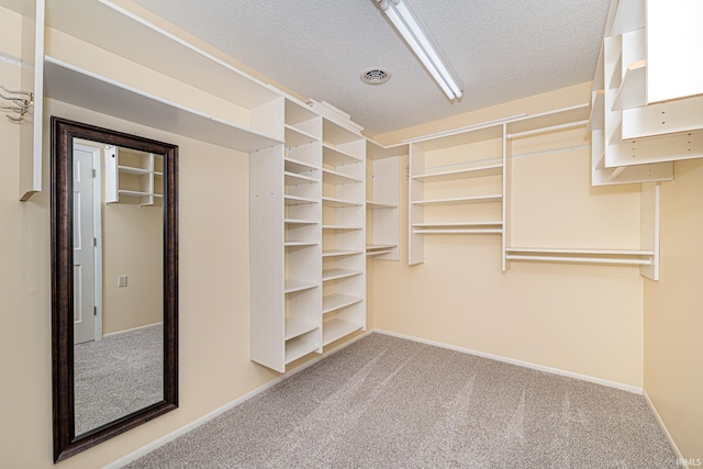 5002 Buffalo Ct, Fort Wayne, IN 46804 - walk in closet with carpet flooring