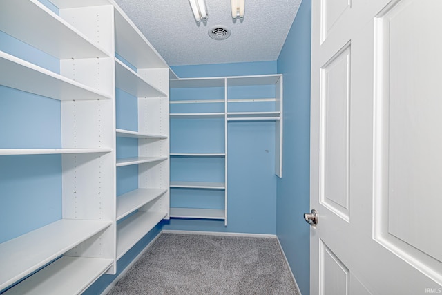 5002 Buffalo Ct, Fort Wayne, IN 46804 - spacious closet with carpet floors